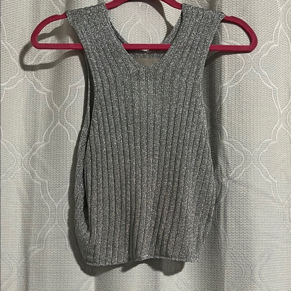 H&M Sparkling Silver Sleeveless Ribbed Crop Top Size Large